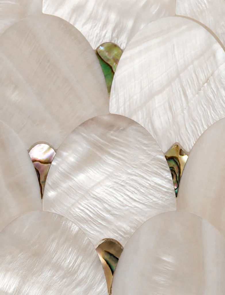 Mother-of-pearl shell surface detail