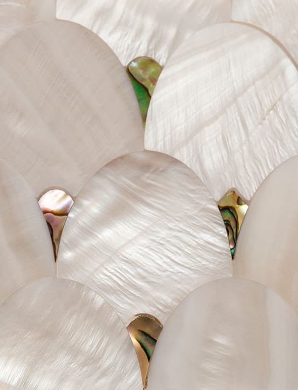 Shell
